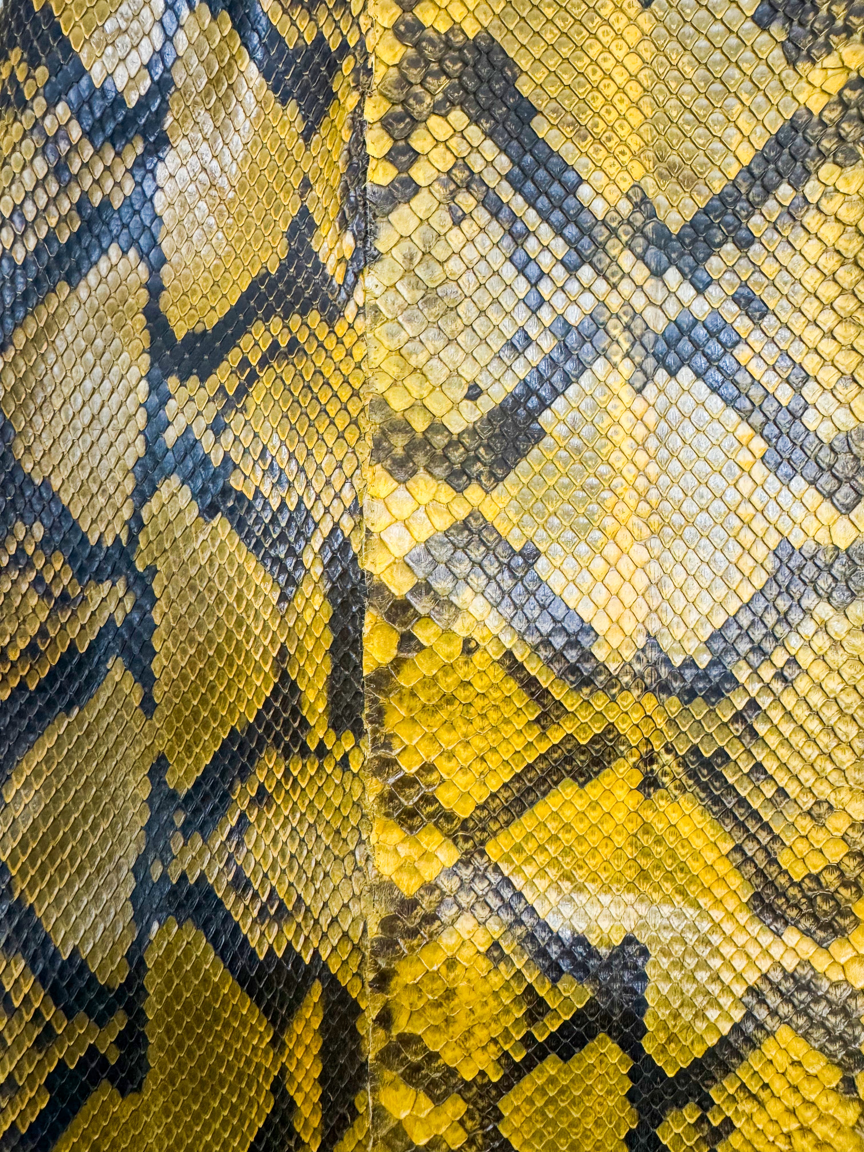 Gianfranco Ferre Python Skirt