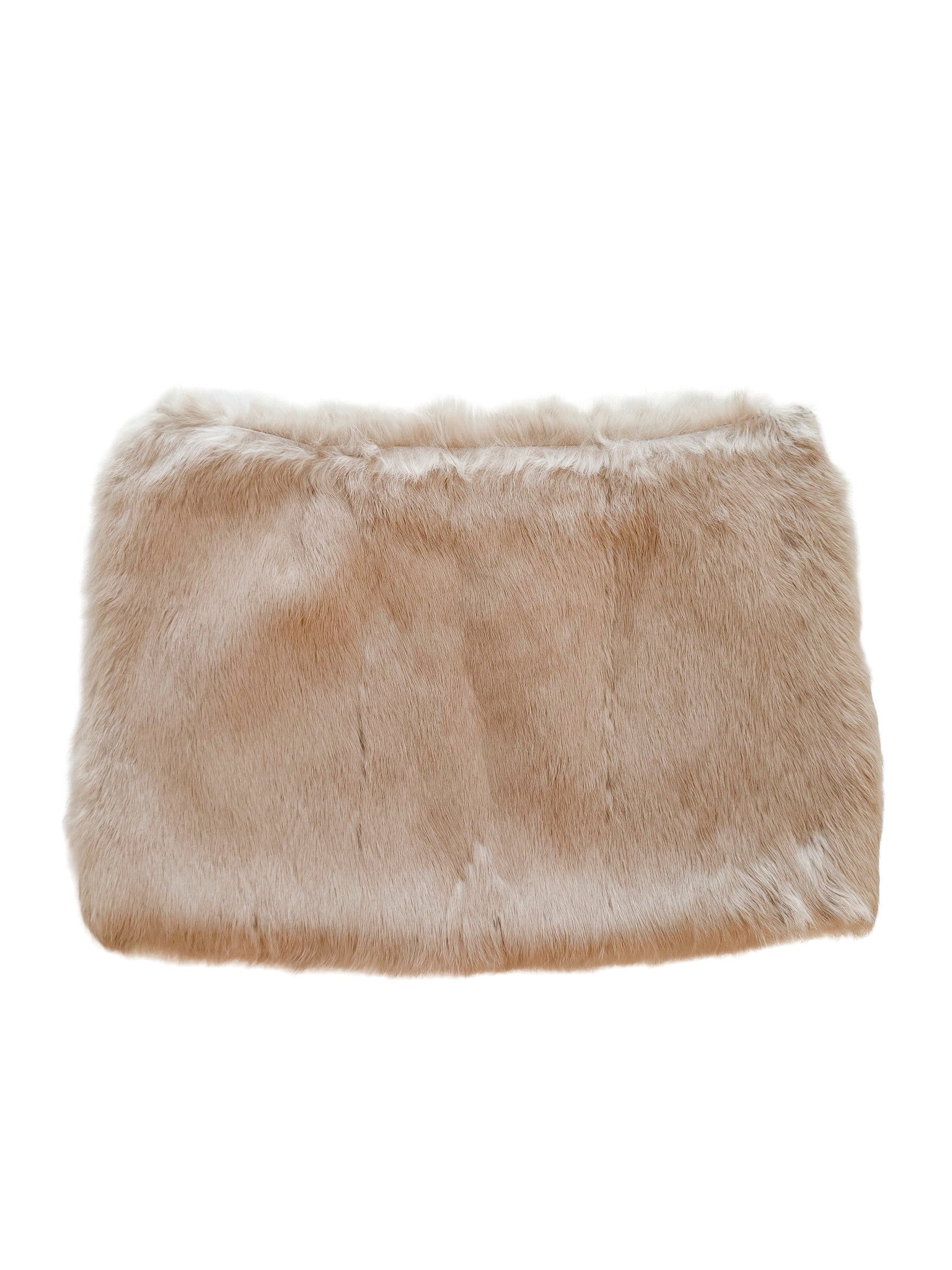 Elisabetta Franchi Fur Mini Skirt