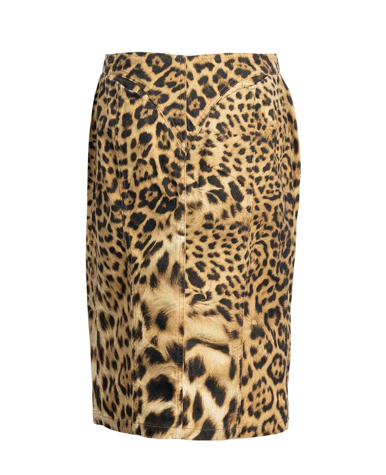 Roberto Cavalli 2000s Skirt