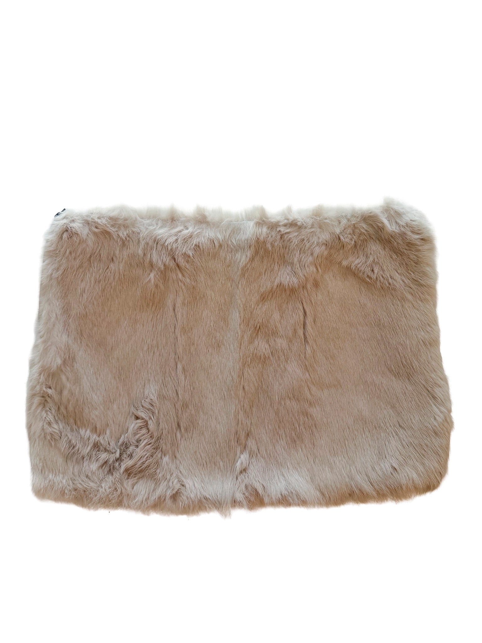 Elisabetta Franchi Fur Mini Skirt
